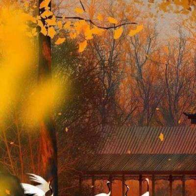 奔跑吧飞行球家族手机版下载